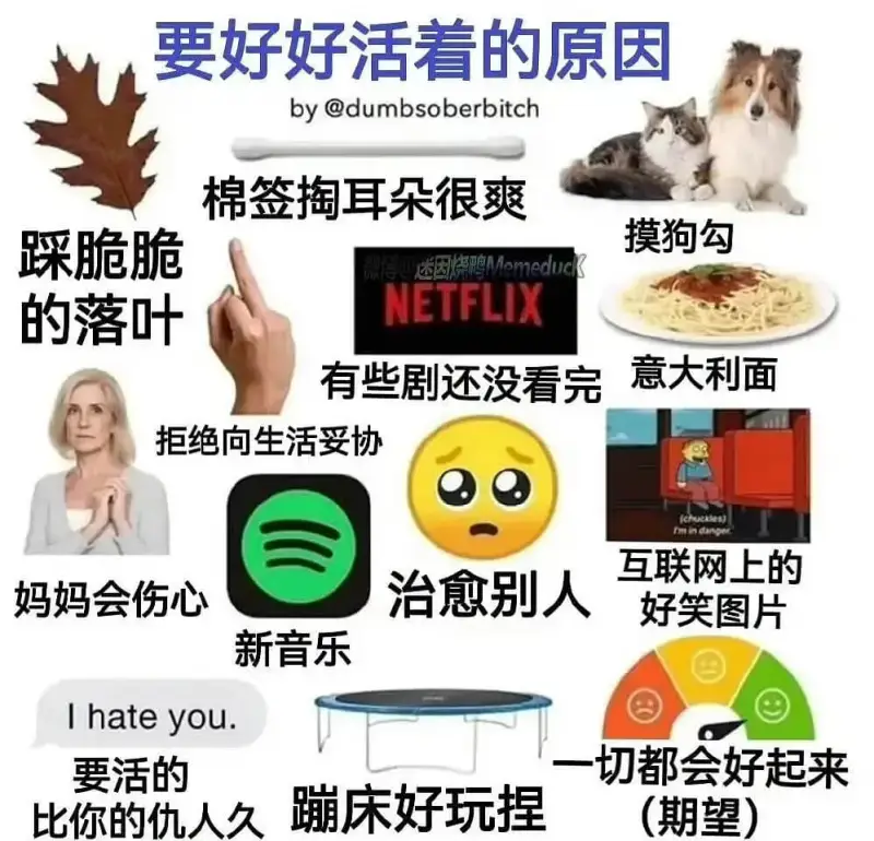 要好好活着的原因by@dumbsoberbitch棉签掏耳朵