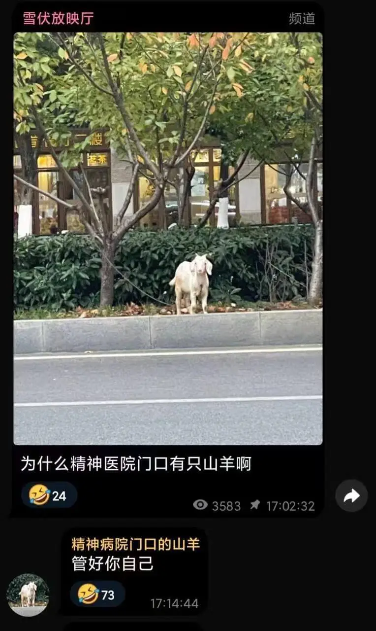 雪伏放映厅频道为什么精神医院门口有只山羊啊24O358317