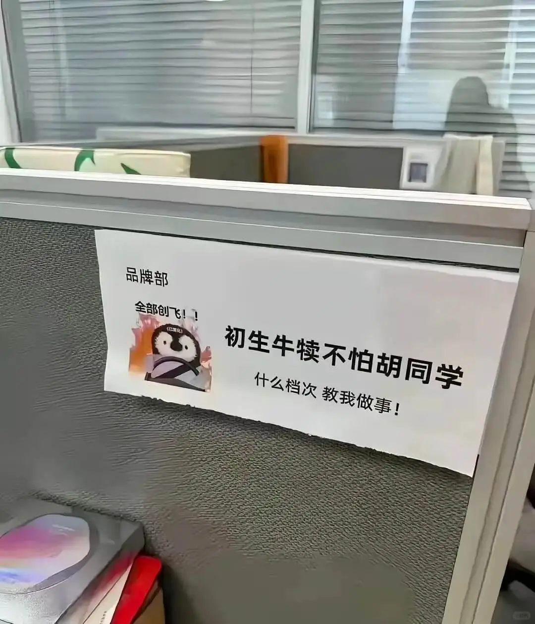 品牌部全部创飞!!初生牛犊不怕虎同学什么档次教我做事!