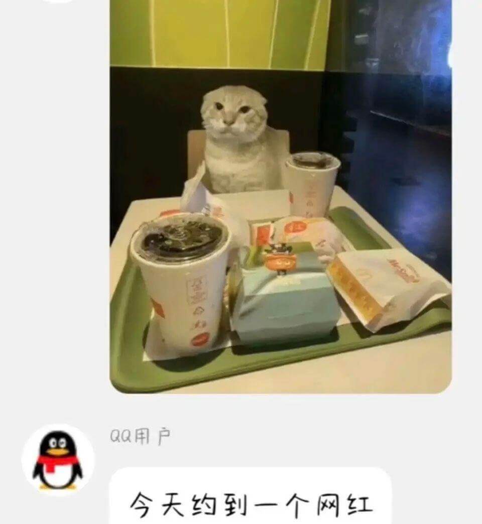 QQ用户今天约到一个网红