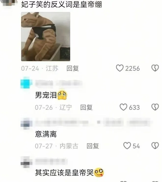 梗图