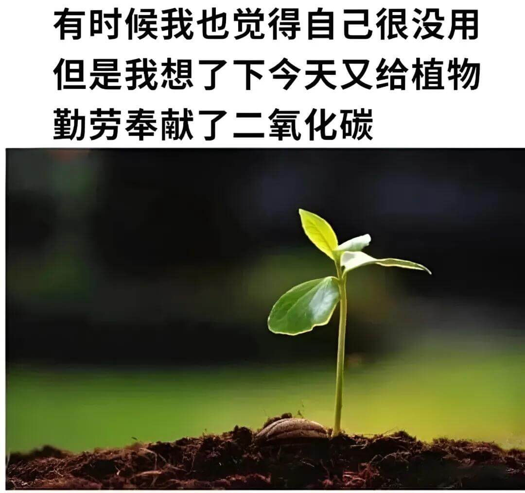 有时候我也觉得自己很没用，但是我想了下，今天又给植物勤劳奉献