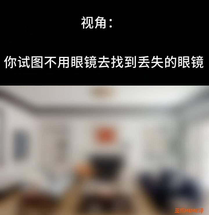视角：你试图不用眼镜去找到丢失的眼镜MENE
