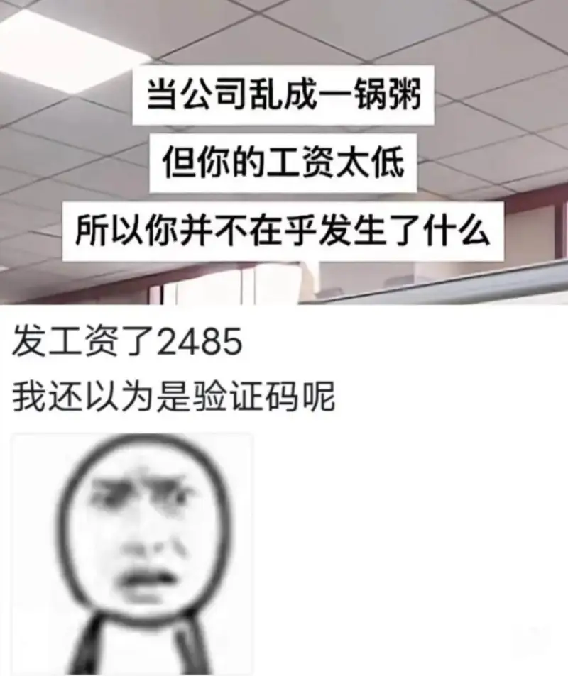 当公司乱成一锅粥但你的工资太低所以你并不在乎发生了什么发工资