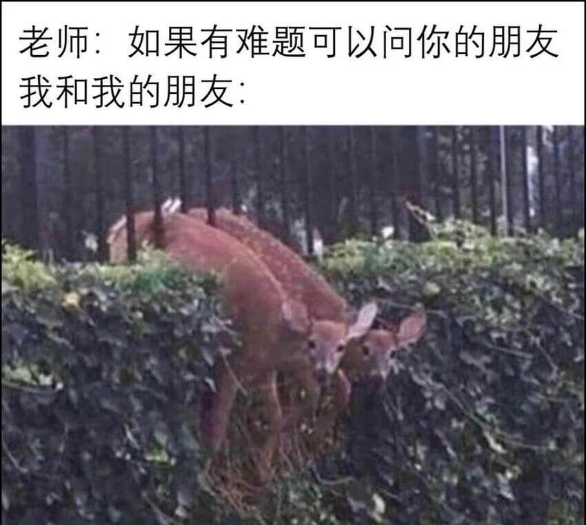 老师：如果有难题可以问你的朋友我和我的朋友：