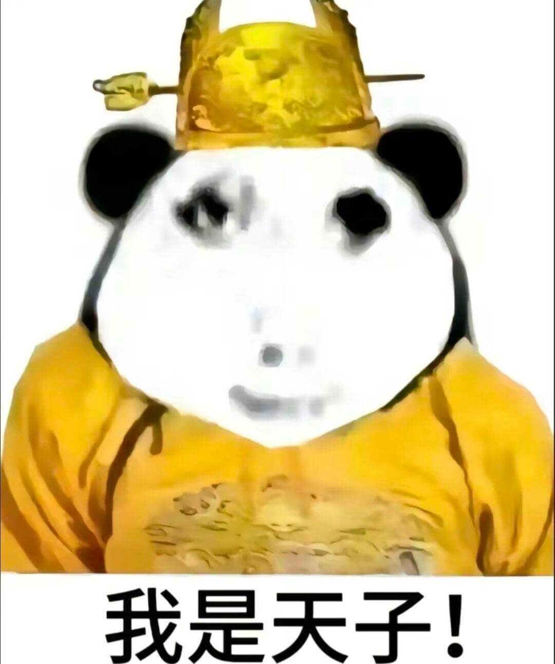 我是天子！
