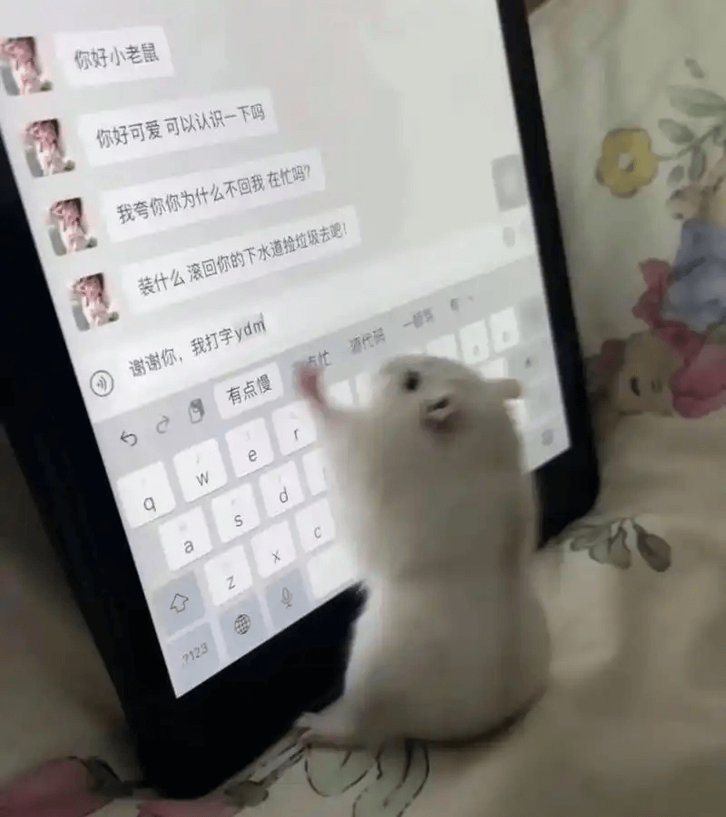 你好小老鼠你好可爱，可以认识一下吗？我夸你，你为什么不回我？