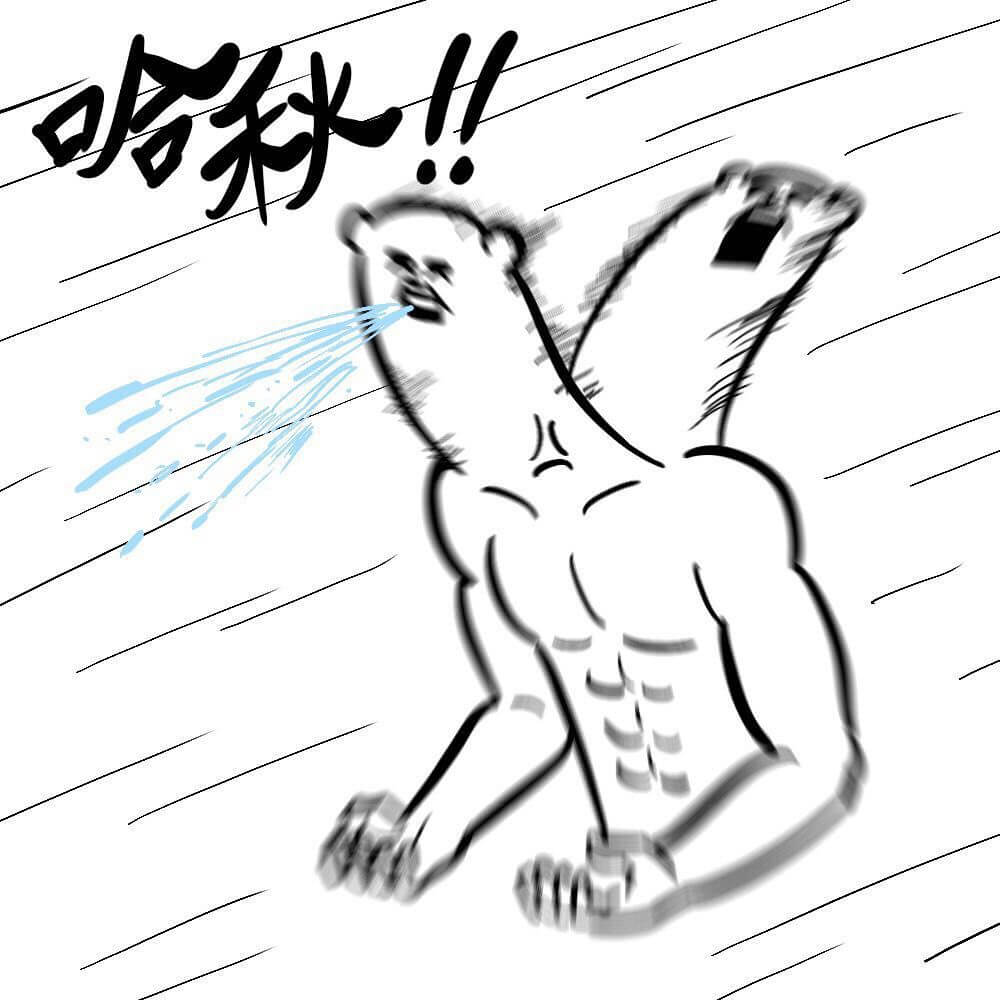 秋!八