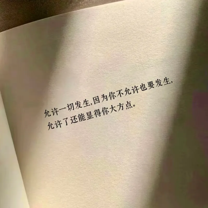 允许一切发生，因为你不允许也要发生，允许了还能显得你大方点。