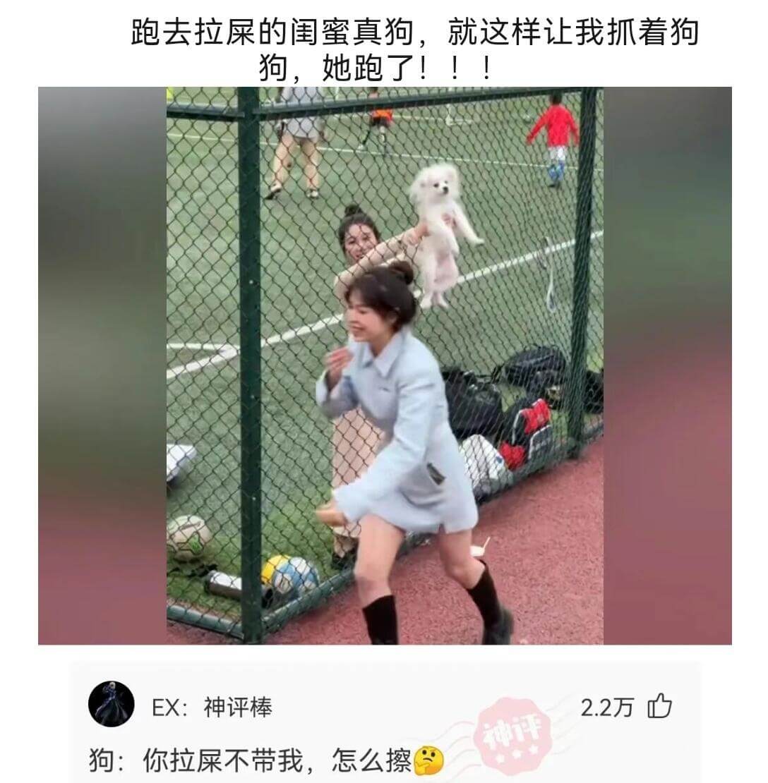 跑去拉屎的闺蜜真狗，就这样让我抓着狗狗，她跑了!!!EX:神