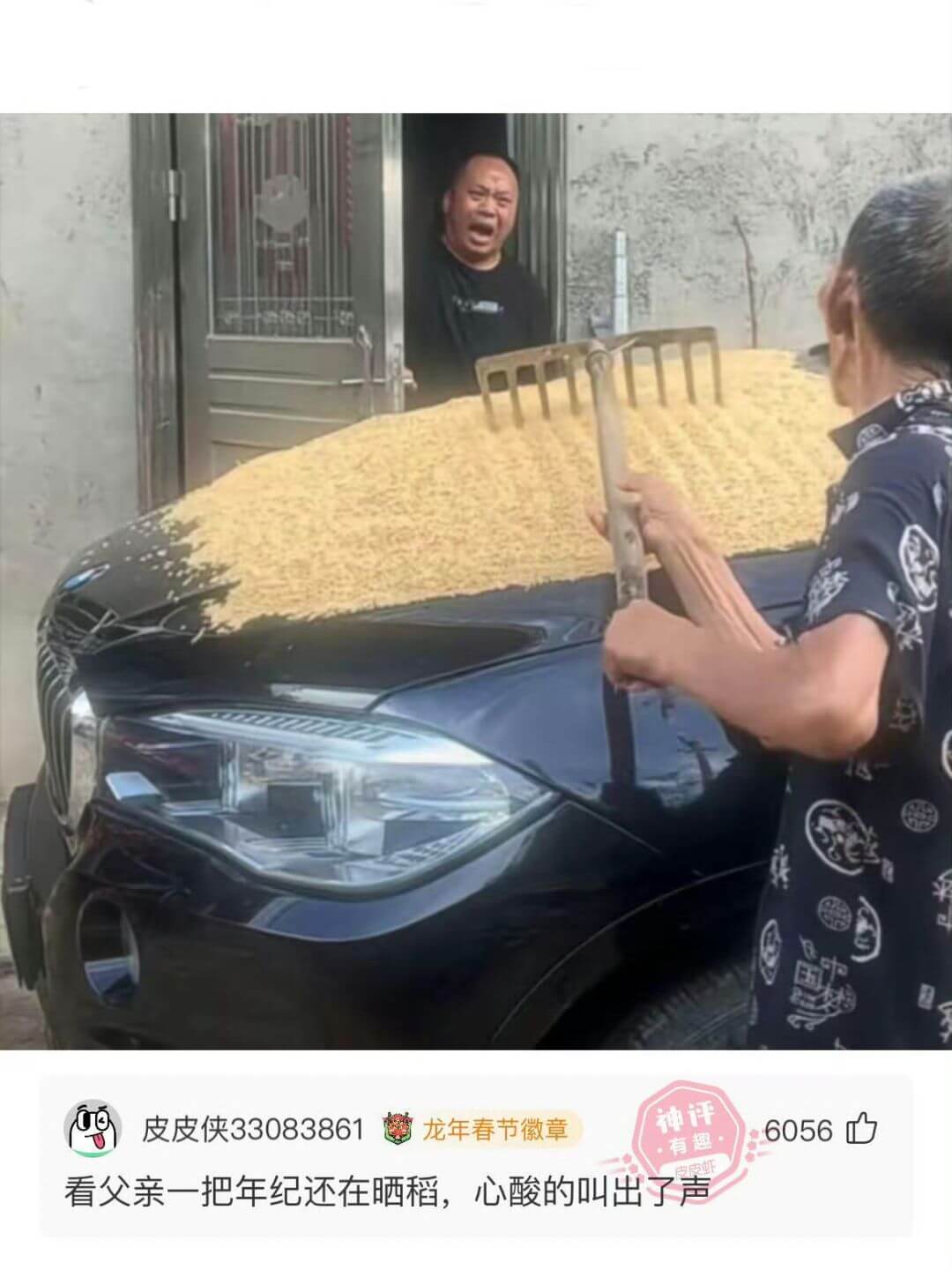 精皮皮侠33083861龙年春节徽章看父亲一把年纪还在晒稻，