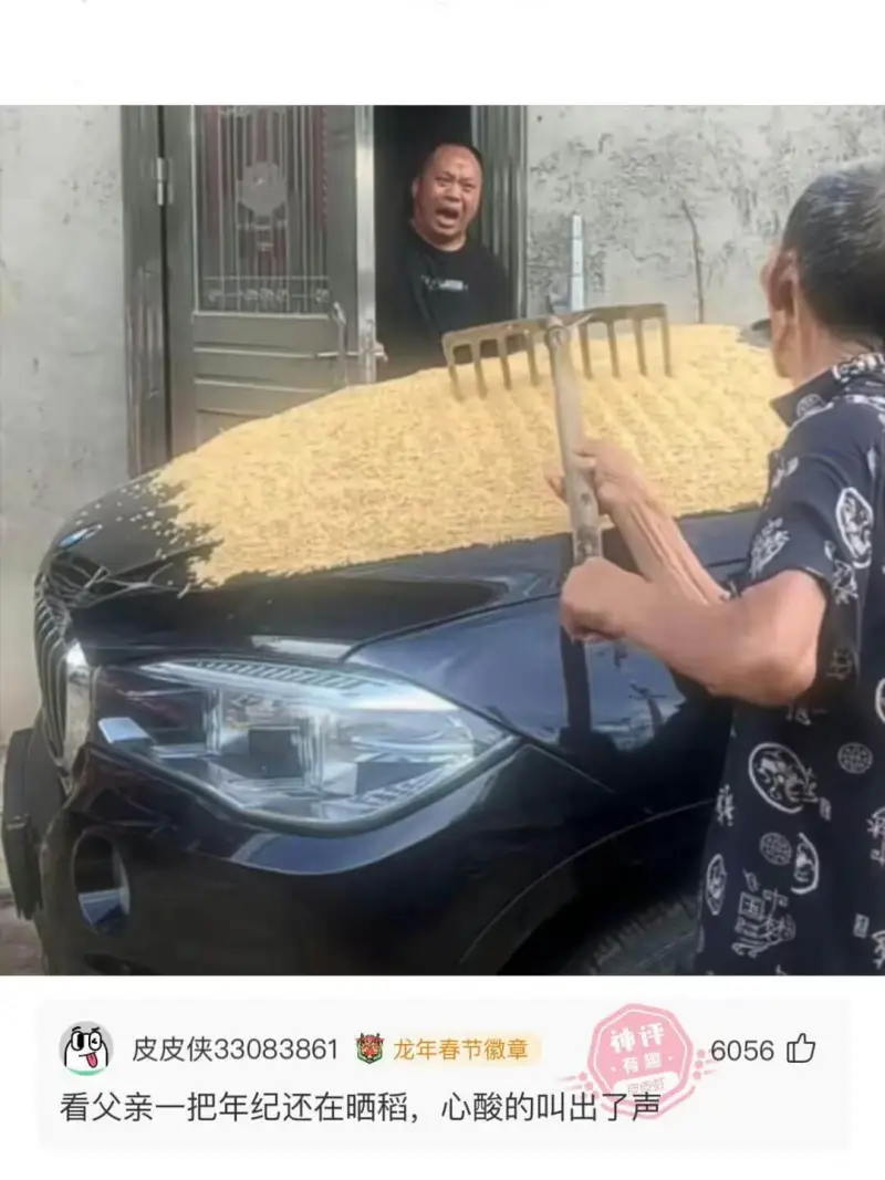 精皮皮侠33083861龙年春节徽章看父亲一把年纪还在晒稻，