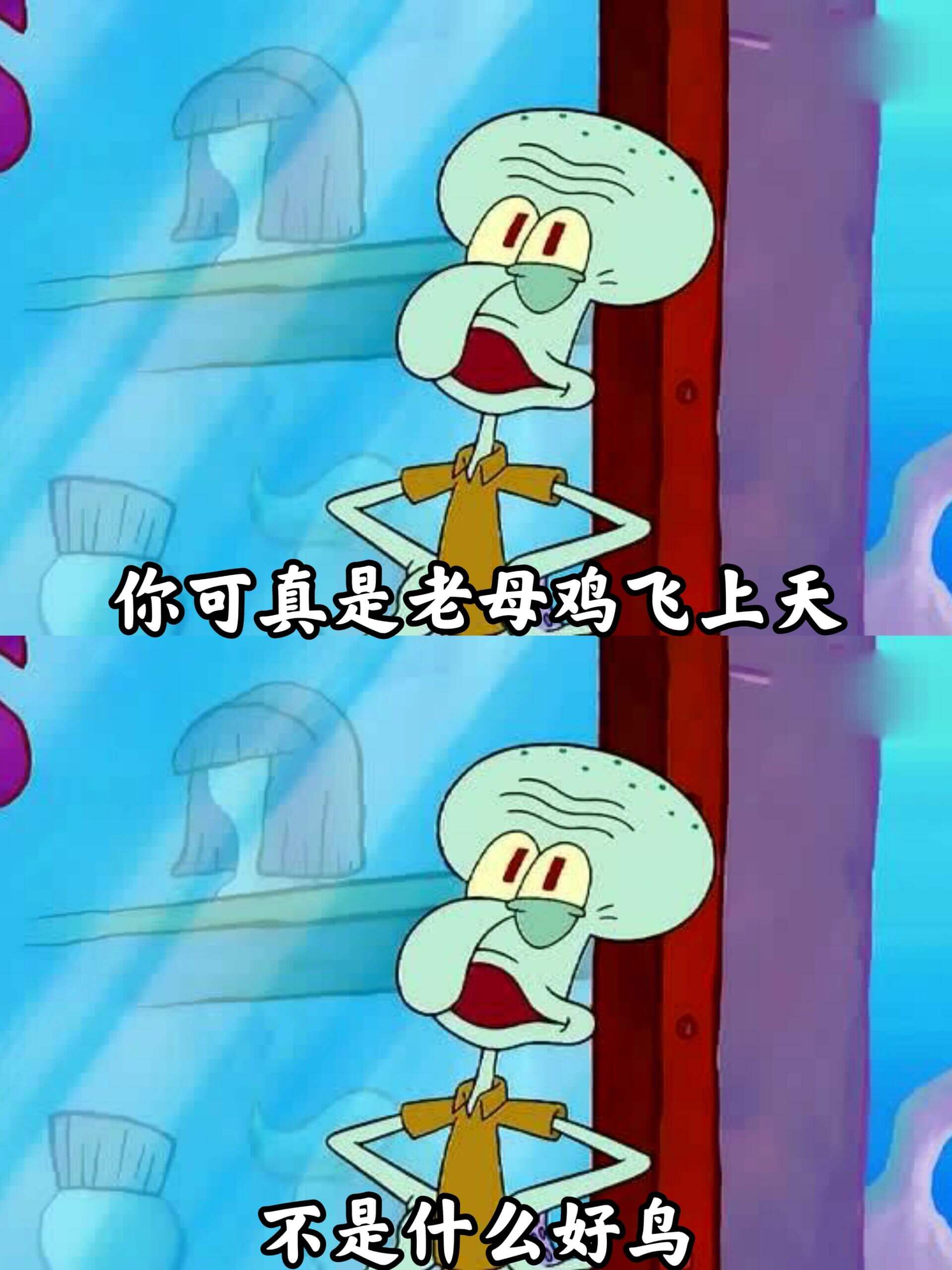 你可真是老母鸡飞上天不是什么好鸟
