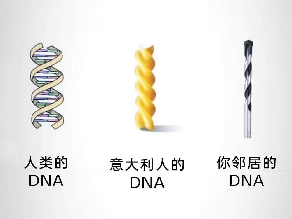人类的意大利人的你邻居的DNADNADNA