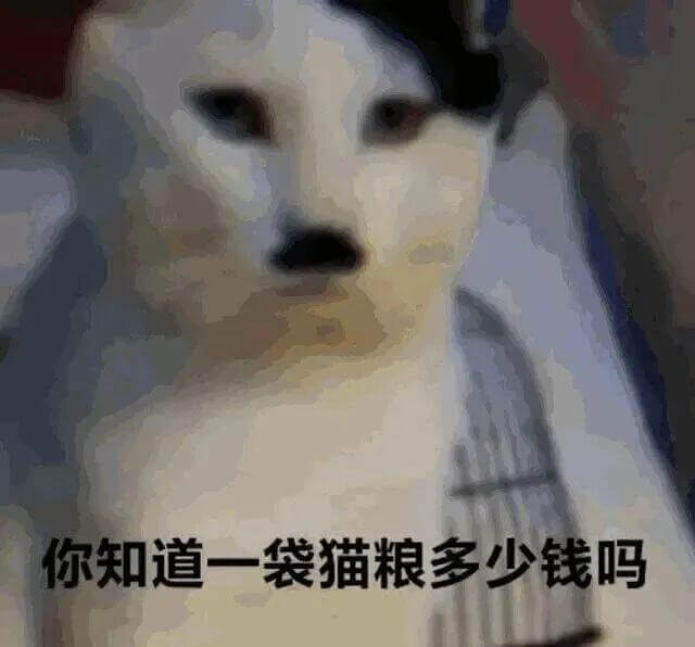 你知道一袋猫粮多少钱吗