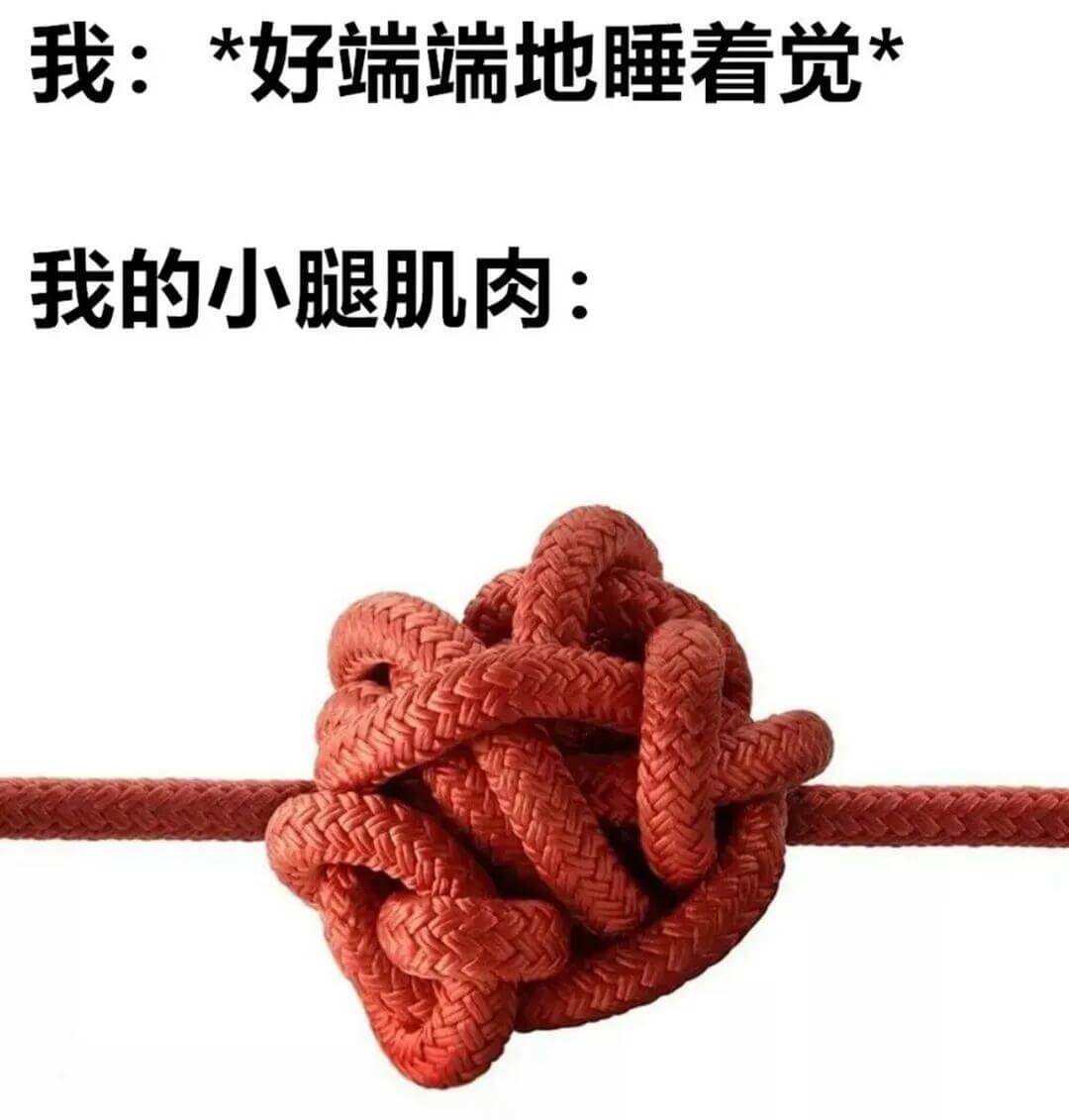 我：*好端端地睡着觉*我的小腿肌肉：