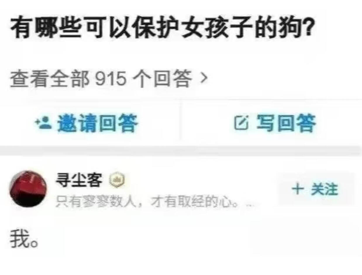 有哪些可以保护女孩子的狗？查看全部915个回答）邀请回答口写