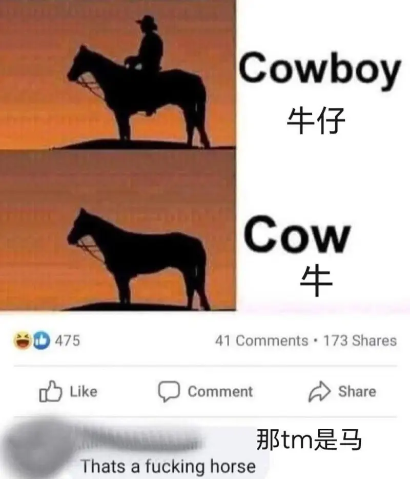 Cowboy牛仔Cow牛47541Comments.173S