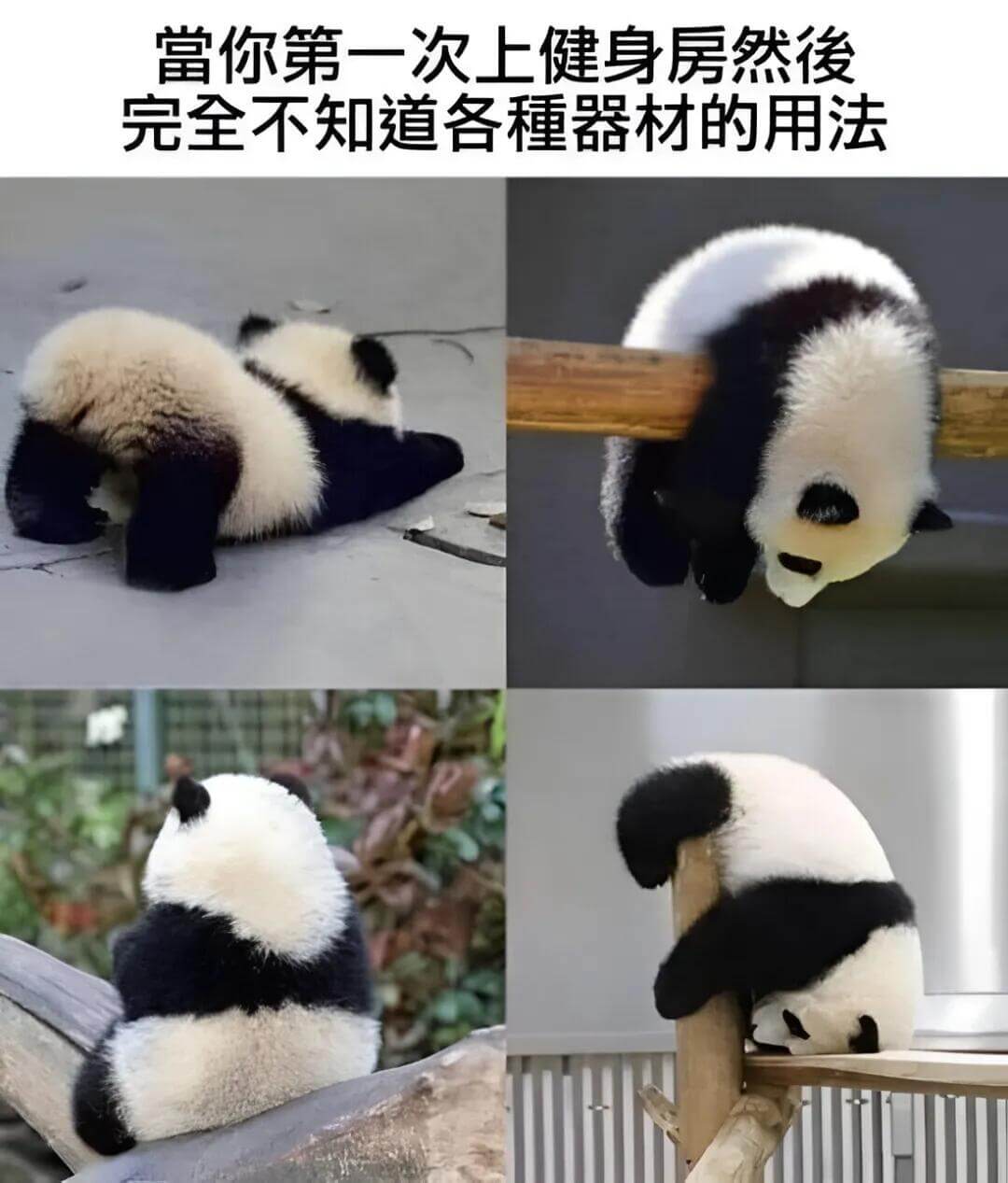 当你第一次上健身房，完全不知道各种器材的用法。