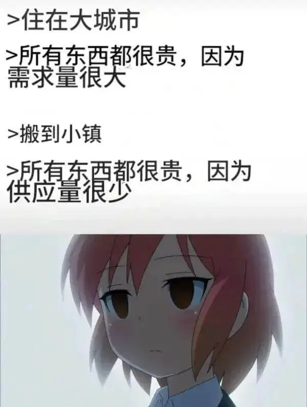 住在大城市，所有东西都很贵，因为需求量很大。搬到小镇，所有东