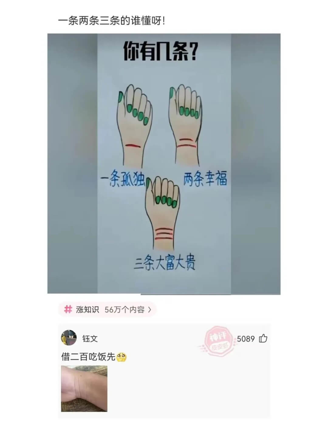 一条两条三条的谁懂呀!你有几条?两条幸福一条孤独0000三条