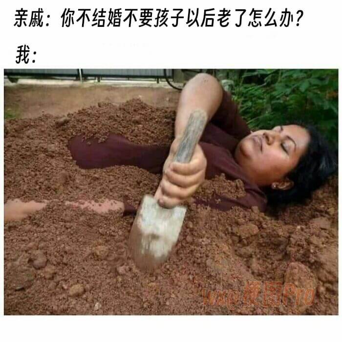 亲戚:你不结婚不要孩子以后老了怎么办?我: