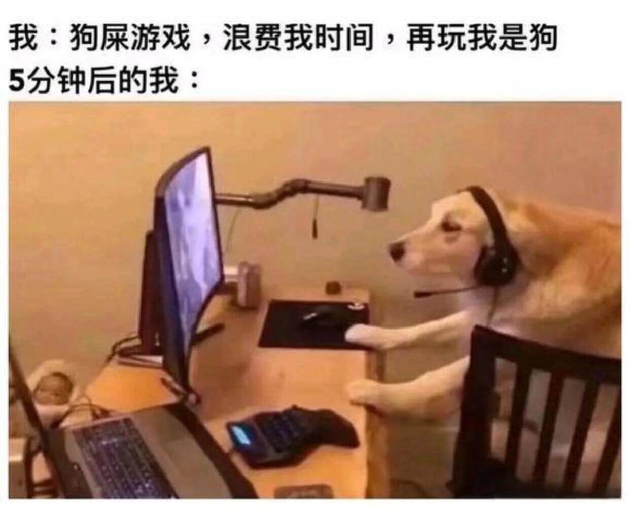 我：狗屎游戏，浪费我时间，再玩我是狗5分钟后的我：