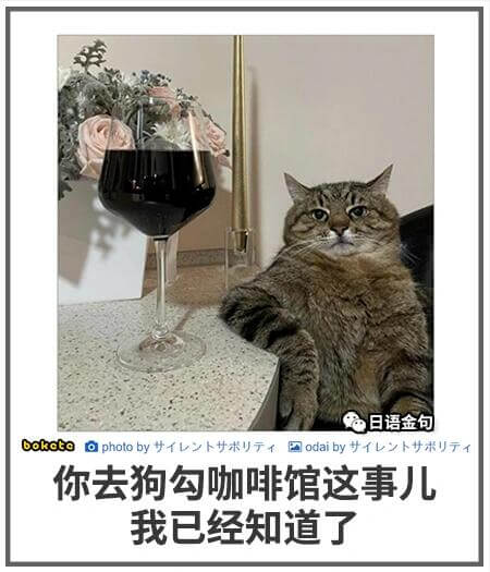 日语金句boketoaphotoby国odaiby你去狗勾咖