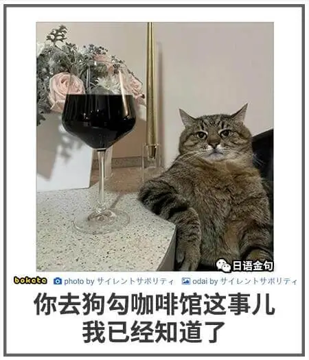 日语金句boketoaphotoby国odaiby你去狗勾咖