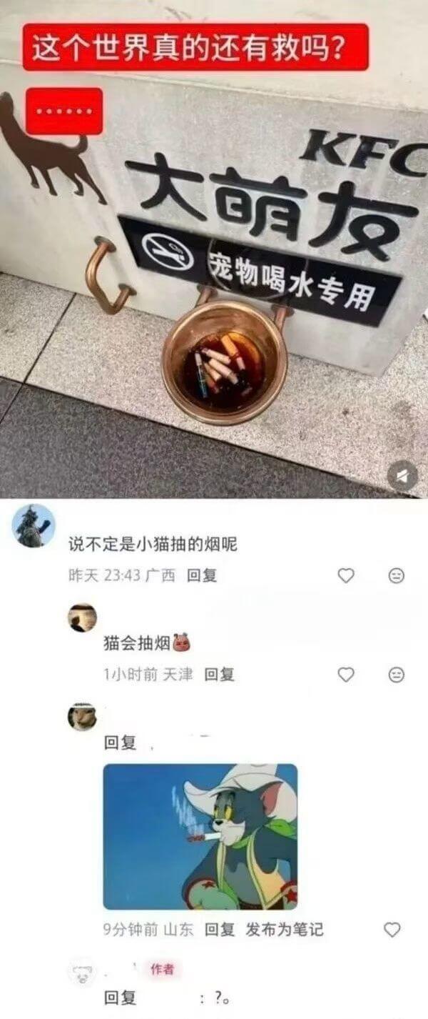 这个世界真的还有救吗？大萌友：宠物喝水专用说不定是小猫抽的烟