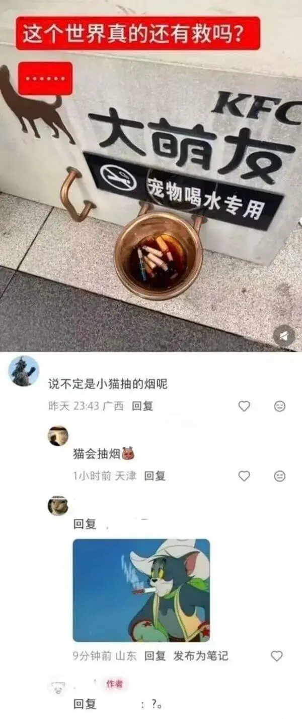 这个世界真的还有救吗？大萌友：宠物喝水专用说不定是小猫抽的烟
