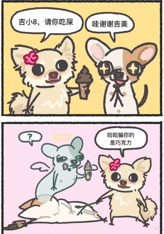吉小8，请你吃屎哇谢谢吉美哈哈骗你的，是巧克力