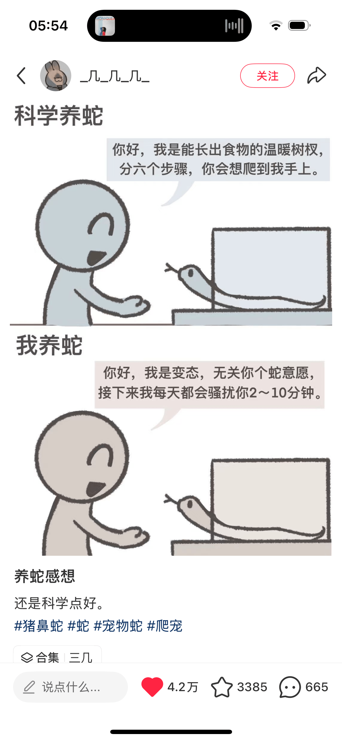 05:54几_几_几关注科学养蛇你好，我是能长出食物的温暖树