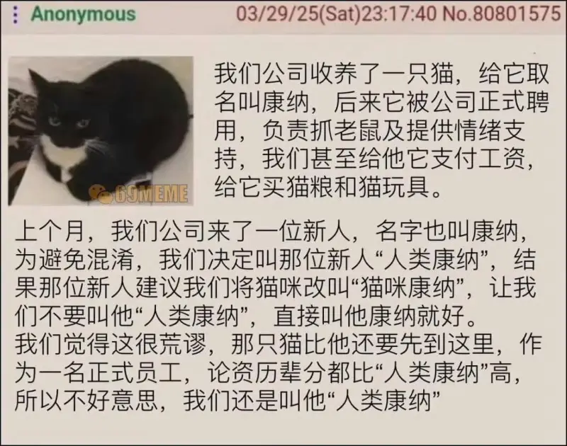 Anonymous03/29/25(Sat)23:17:40