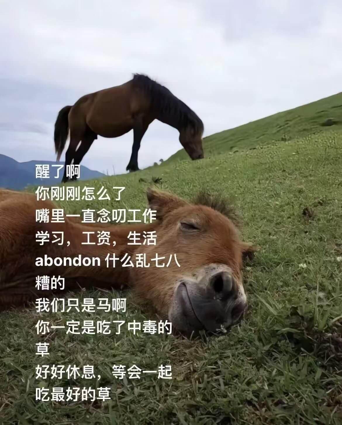 醒了啊，你刚刚怎么了？嘴里一直念“工作、学习，工资，生活，a