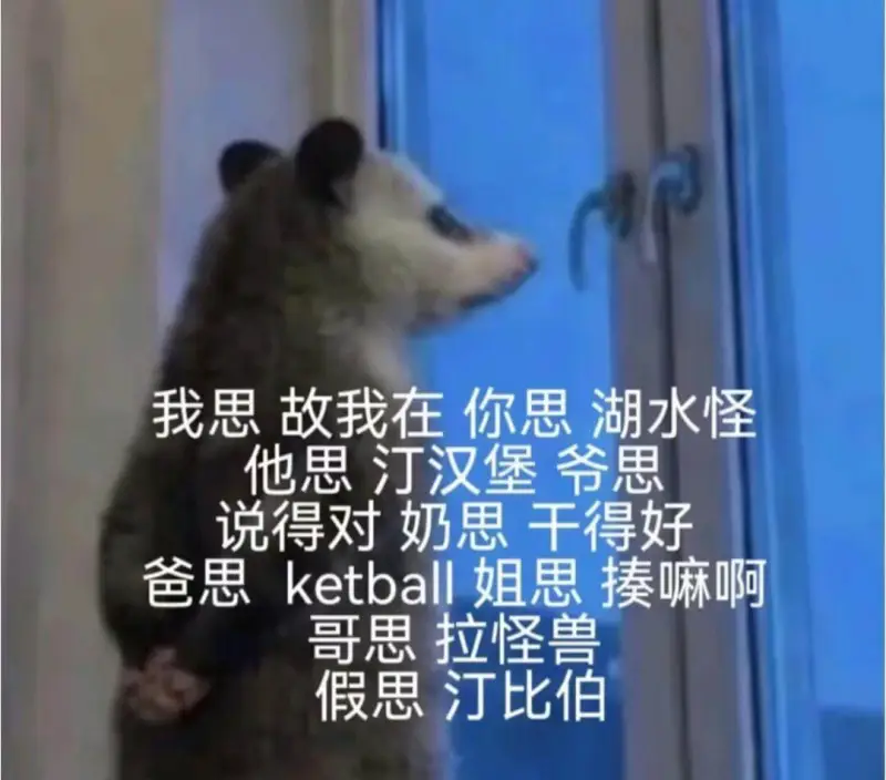我思故我在。你思湖水怪，他思汀汉堡，爷思……说得对！奶思千得