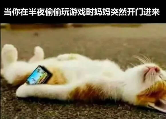 当你在半夜偷偷玩游戏时妈妈突然开门进来