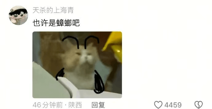 天杀的上海青也许是蟑螂吧46分钟前·陕西回复4459