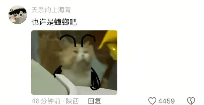 天杀的上海青也许是蟑螂吧46分钟前·陕西回复4459