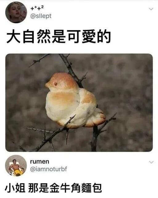 +++2@sllept大自然是可爱的rumen@iamnot