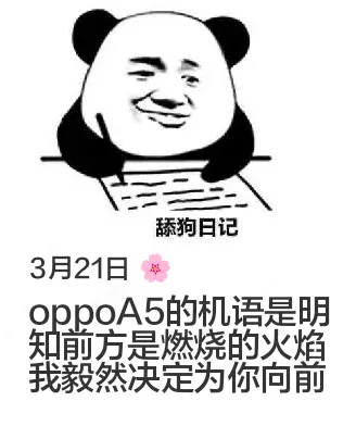 舔狗日记3月21日oppoA5的机语是明知前方是燃烧的火焰我