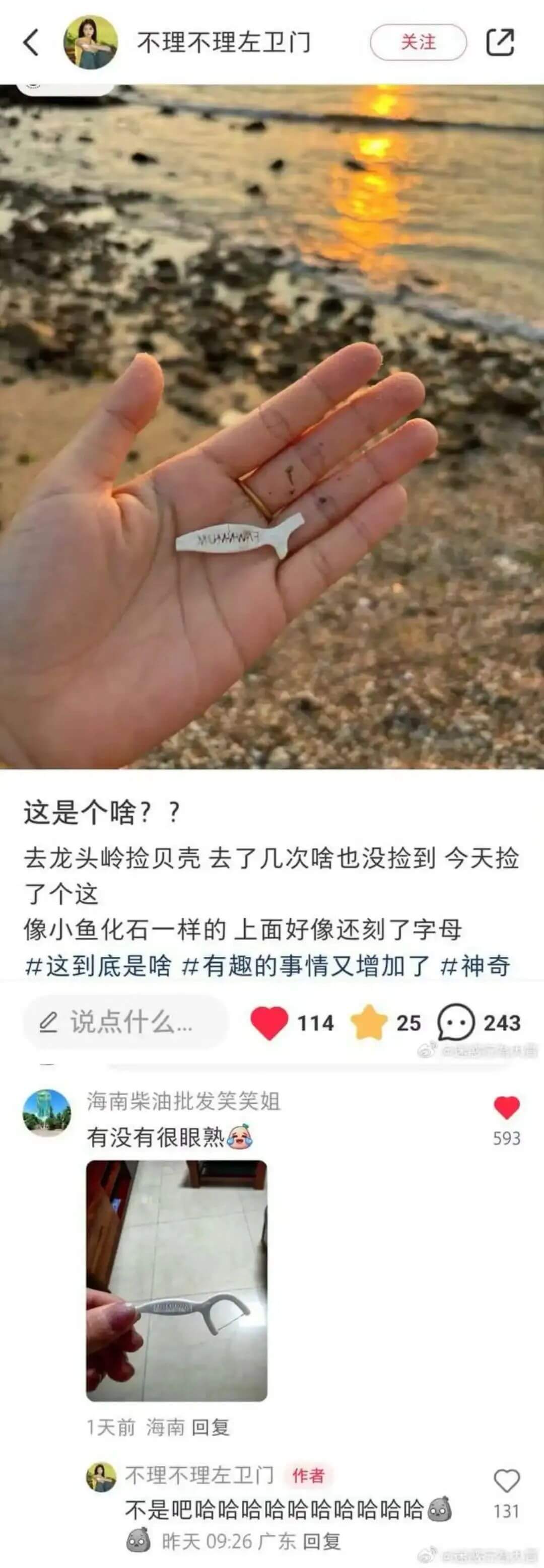 关注不理不理左卫门HUHNANA这是个啥？？去龙头岭捡贝壳，