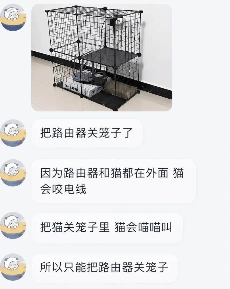 把路由器关笼子了。因为路由器和猫都在外面，猫会咬电线。把猫关