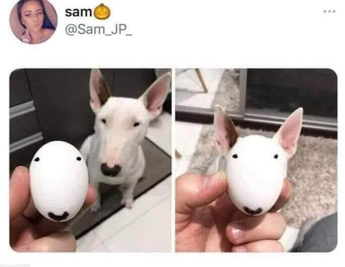 sam@Sam_JP