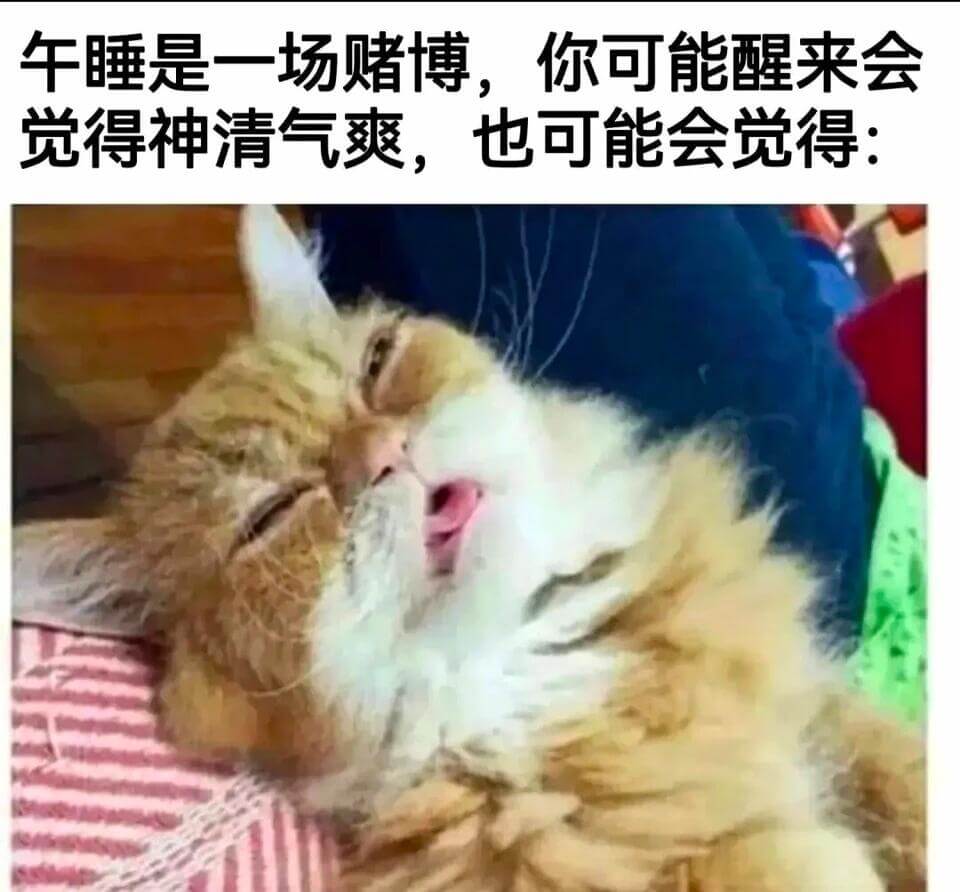 午睡是一场赌博，你可能醒来会觉得神清气爽,也可能会觉得:
