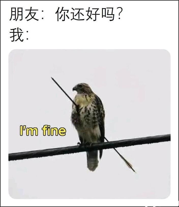 朋友：你还好吗？我：Imfine