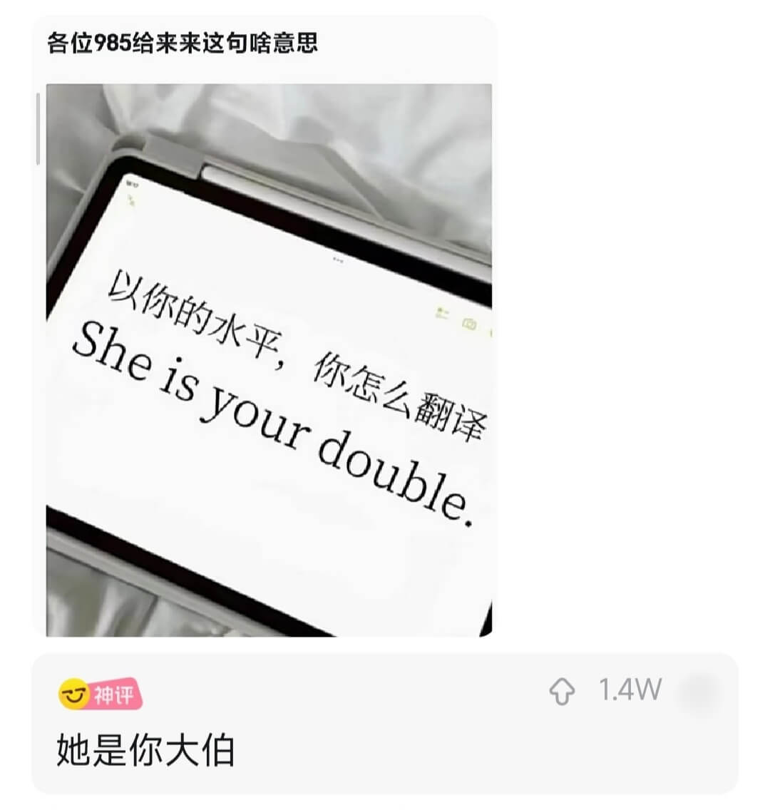 以你的水平，你怎么翻译Sheisyourdouble.