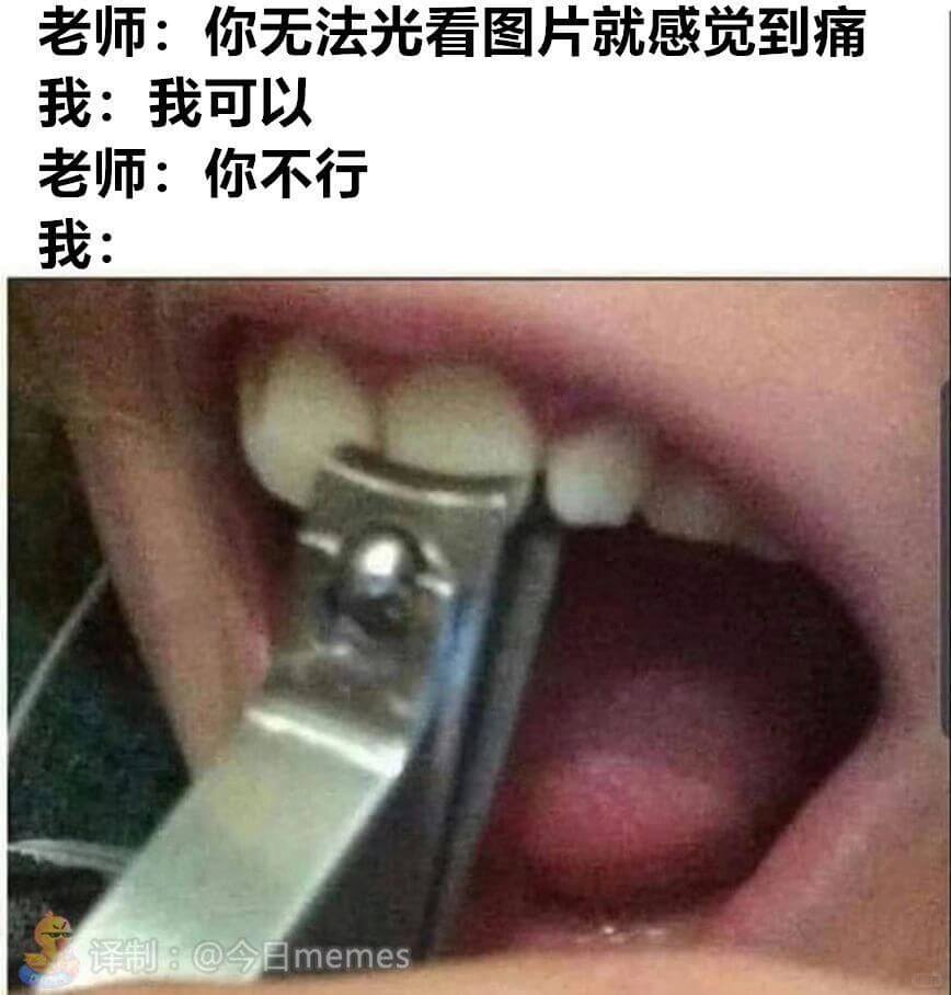 老师：你无法光看图片就感觉到痛我：我可以老师：你不行我：译制