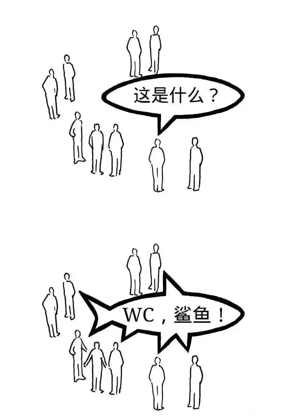 这是什么？WC,鲨鱼！