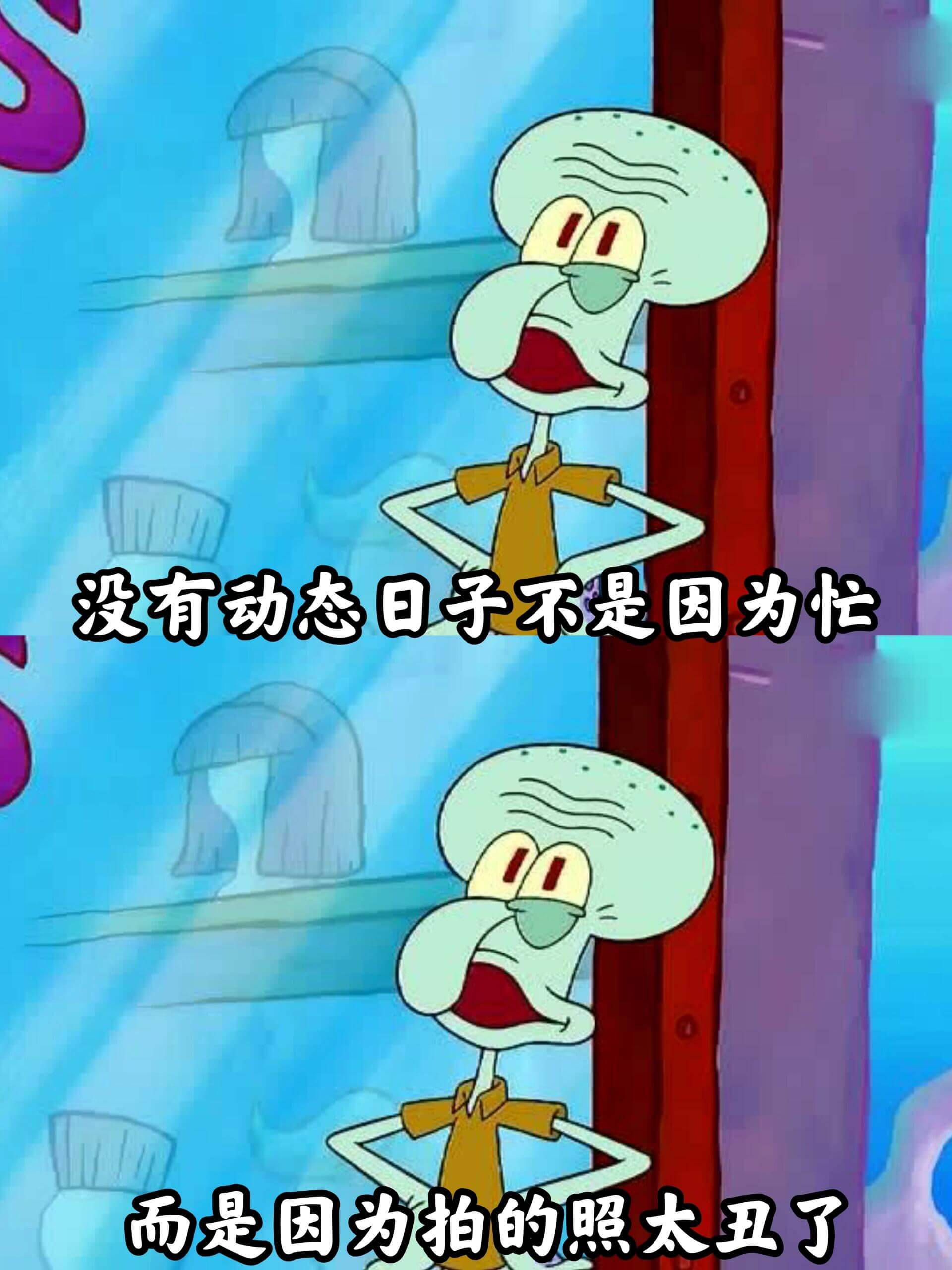 没有动态日子不是因为忙,而是因为拍的照太丑了。